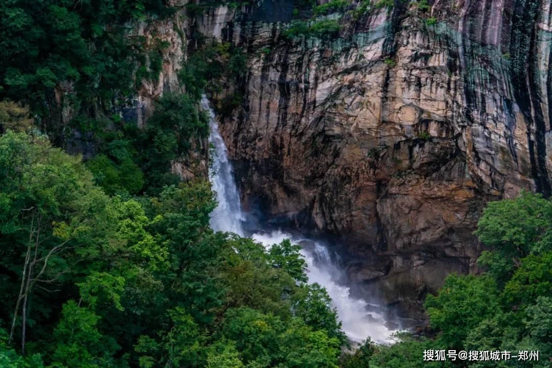 动物帮帮忙保卫家园